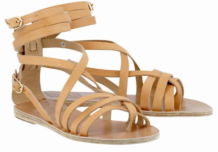 Sandales De Gladiateur Ancient Greek Sandals Satira Leather   | YJY-3419828